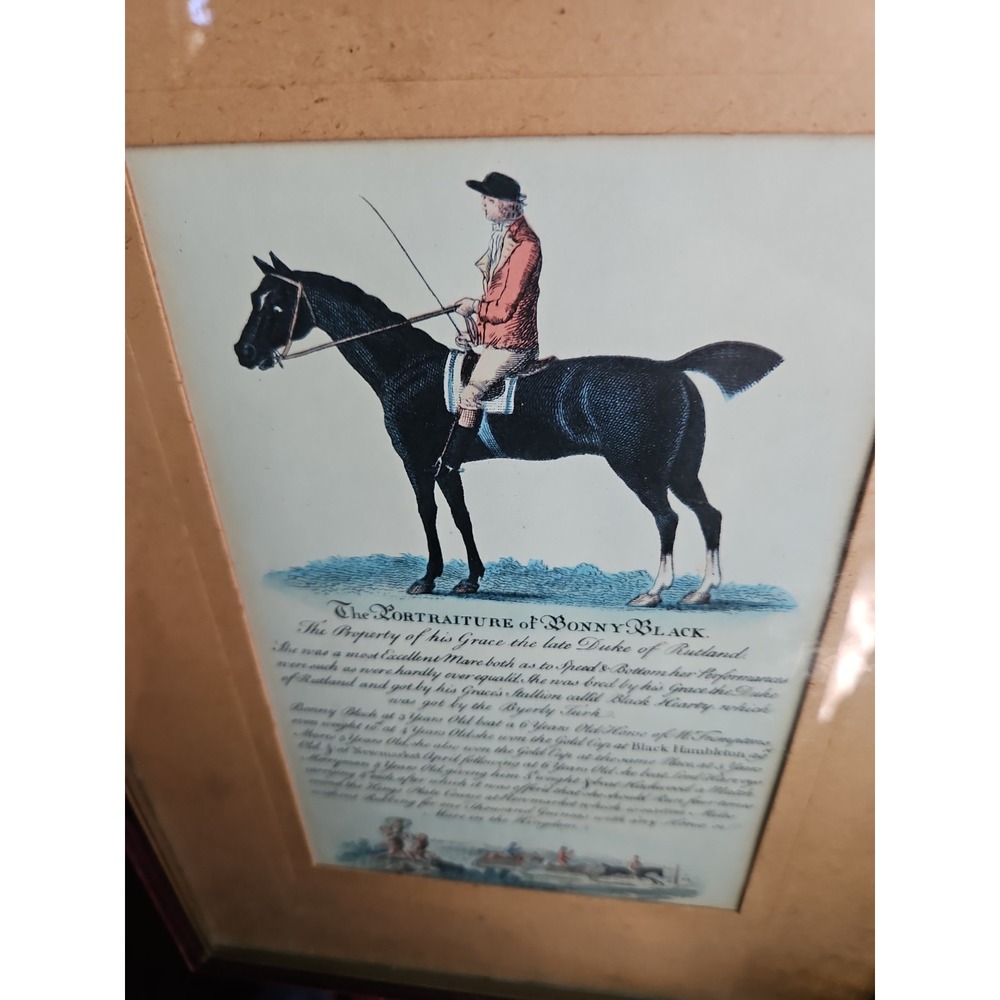 Race Horse Print BONNY BLACK Hand Colored Engraved EQUESTRIAN England 13x10